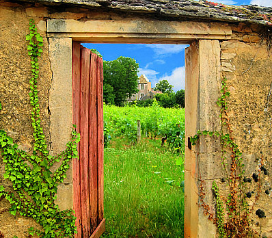 Eliyahu: She Loves You