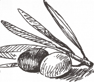 The Olive on the Seder Plate