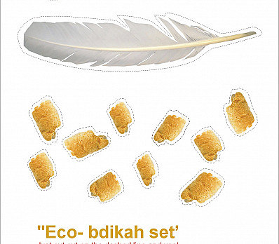 eco bdikat chametz
