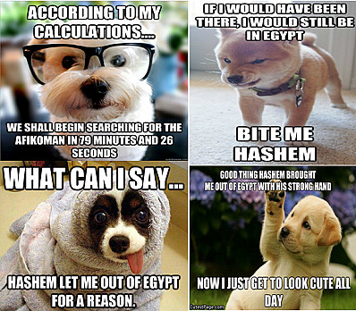 Four Sons Meme with Puppies