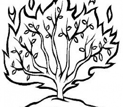 Burning Bush