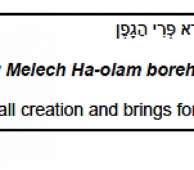 Kadesh The First Cup – FOOD JUSTICE