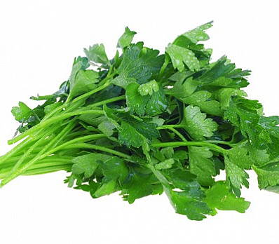 parsley bunch