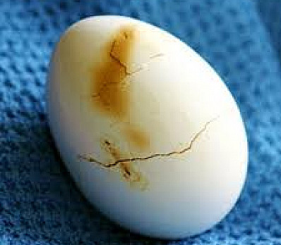 Roasted egg