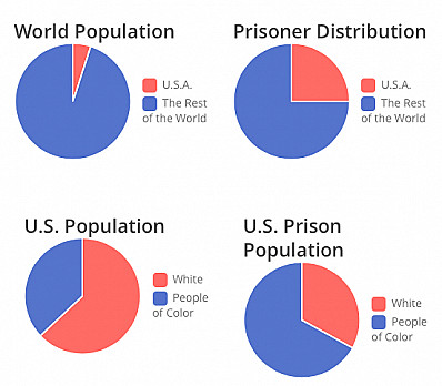 The Passover Pine Cone - Putting Prisons on the Seder Plate