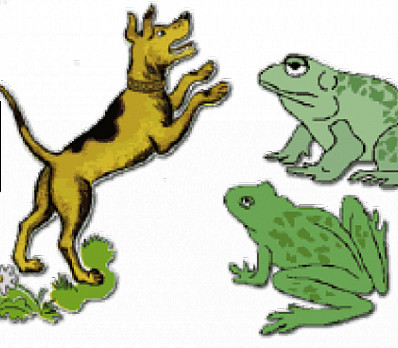 Dogs and Frogs