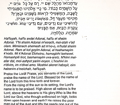 Hallel Part 1: Psalm 113