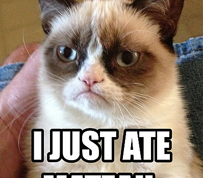 Cat Eating Matzah (Pic)