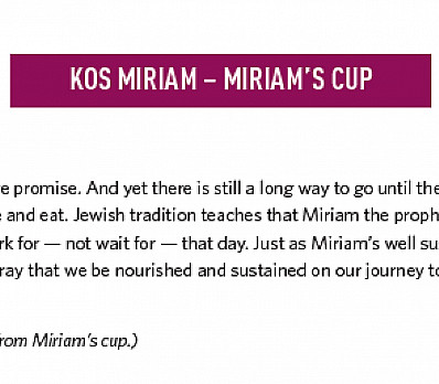 KOS MIRIAM – MIRIAM’S CUP