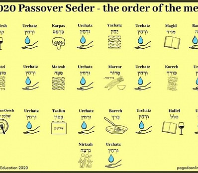 Pandemic Seder Order