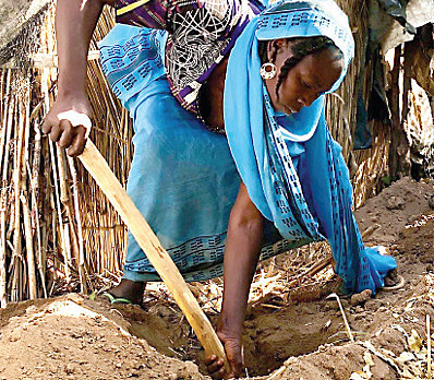 Why is a cucumber on our Second Seder Plate?