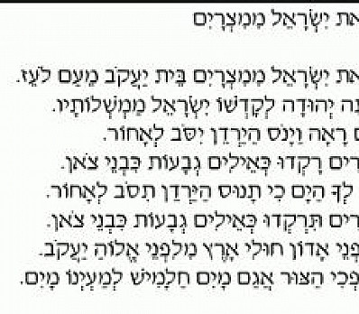 b'tzayt yisrael