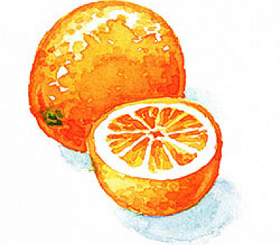 The Orange