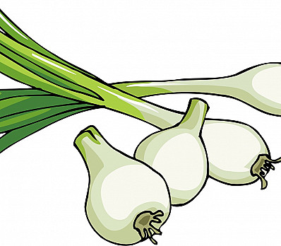 Green Onion Dayeinu and Second Glass