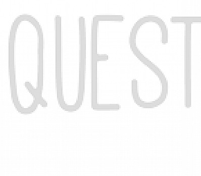 1st Afikomen Search: 20 Questions