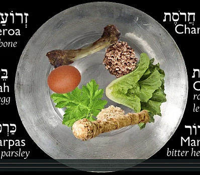 The Seder Plate - Nina Paley