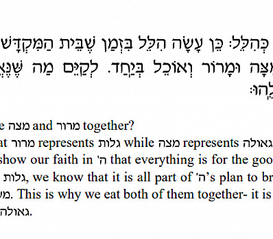 D'var Torah from Rabbi Dov Fried