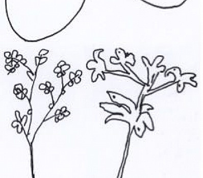 Seder plate - What's missing???