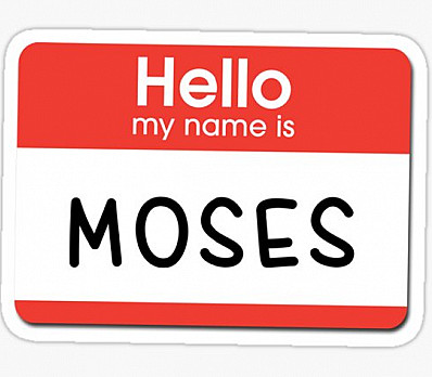 Who Are We This Year?