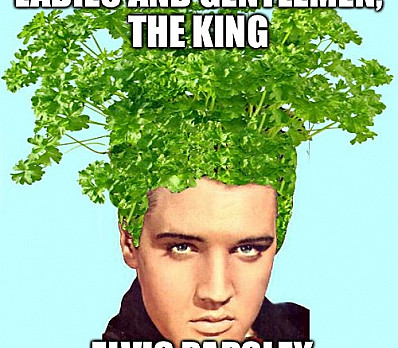 Elvis Parsley
