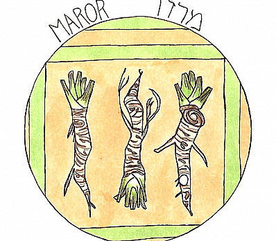 Maror: Bitter Herbs &amp; Charoset