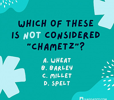 Chametz Quiz