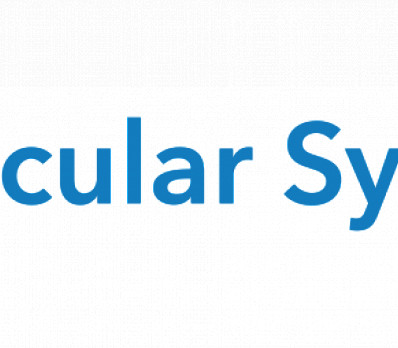 Next Year in Freedom! And together, wherever we are!