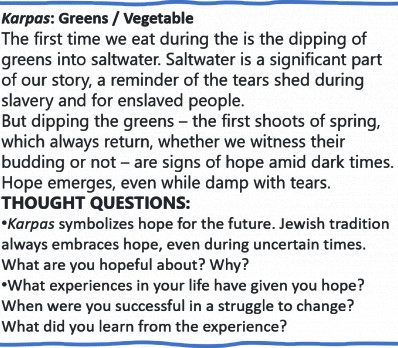 Karpas-thought questions