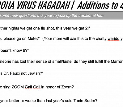 Covid-19 Additional Questions for Your Seder