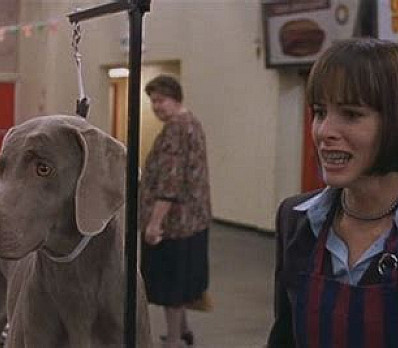Best in Show - Waited for Parker Posey for Six Whole Seasons.