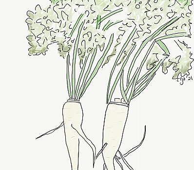 Dipping of Parsley or other green