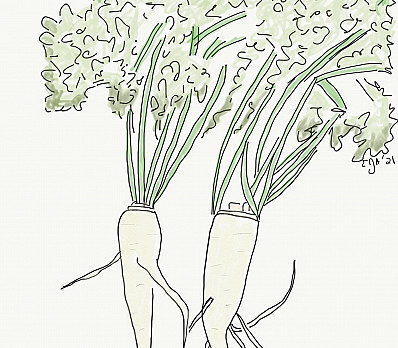 Dipping of Parsley or other green