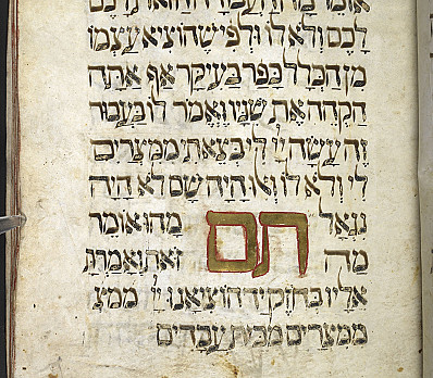 The Simple Son, Golden Haggadah, Italy, 14th Century, NLI