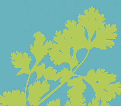 Connect to the Earth