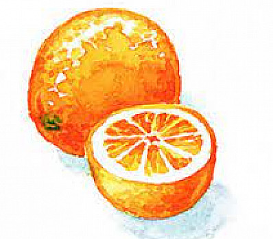 Maggid - Why is there an Orange on the Sedar Plate?