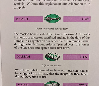 Pesach Symbols
