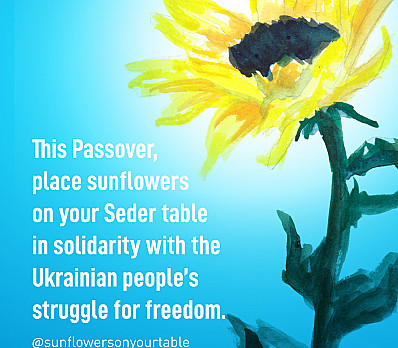 Sunflowers On Your Table