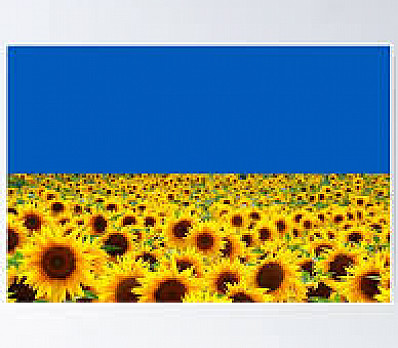 The Sunflower on Our Seder Table: For Ukraine