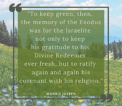 To keep green (Quote)