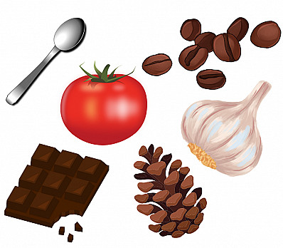 Extra, Extra, Tell Us About It: Additional Seder Plate Items