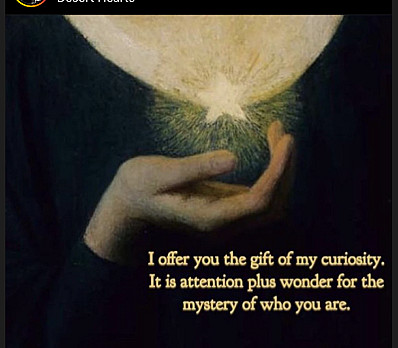 the gift of curiosity