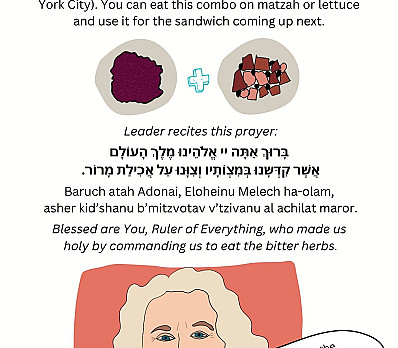 Cartoon Maror Bitter and Sweet