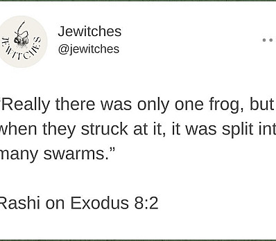 One. Singular. Frog.