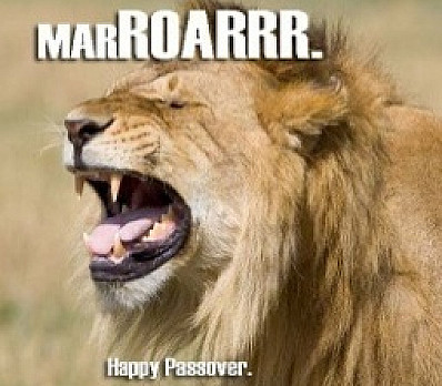 MarRoarr