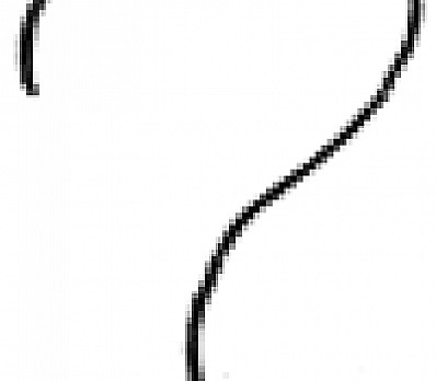 Why is this night different from all other nights?