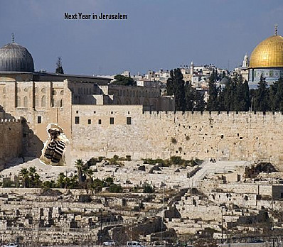 Next Year in Jerusalem