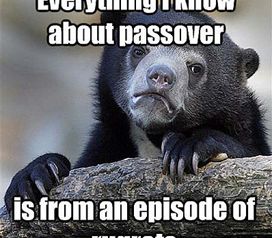 Pesach rug rates meme