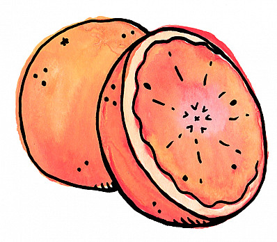 Orange on the Passover Seder Plate