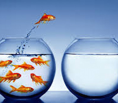 What Freedom Means to Me, What We Should Think about This Year during Passover