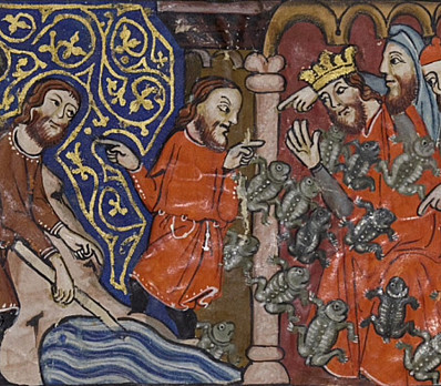 Frogs – צְפֵרְדֵּעַ